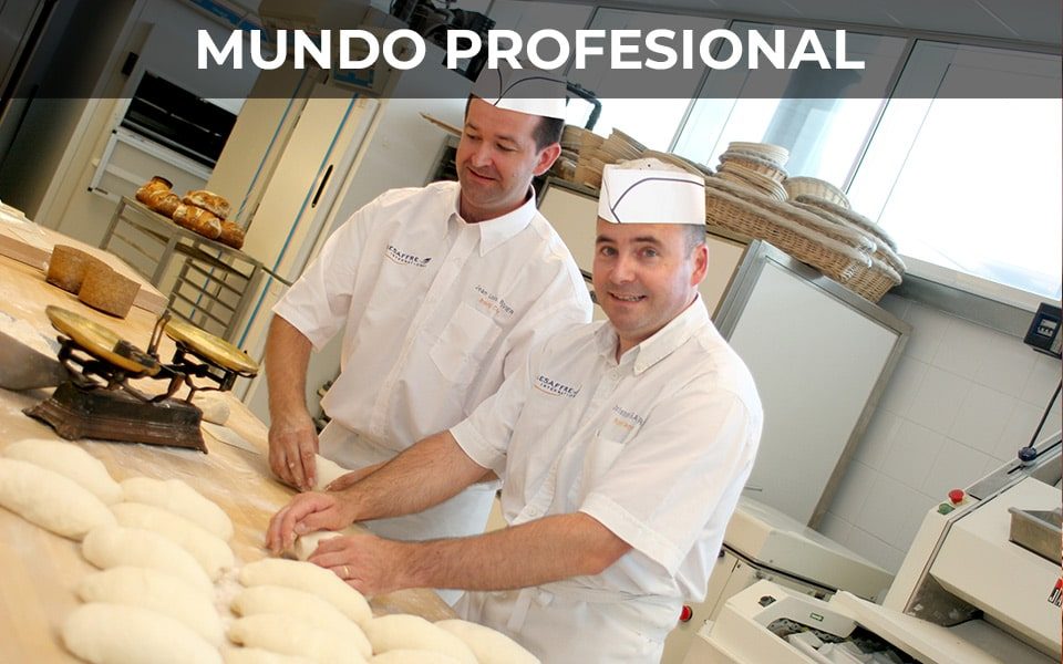 mundo-profesional-lesaffre